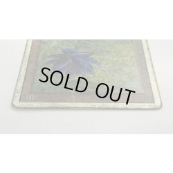 画像4: [POOR]Black Lotus《英語》【2ED】#193