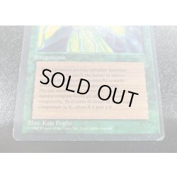 画像5: [HPLD]Eureka《イタリア語》【LEG】#70