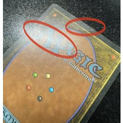 画像9: [HPLD]The Abyss《イタリア語》【LEG】#106