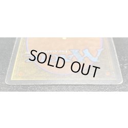 画像6: [HPLD]Taiga《イタリア語》【3ED(FBB)】#98