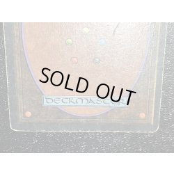 画像5: [HPLD]Tropical Island《英語》【2ED】#118