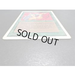 画像5: [HPLD]Berserk《英語》【2ED】#110