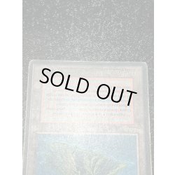 画像7: [POOR](インク)Volcanic Island《イタリア語》【3ED(FBB)】#127