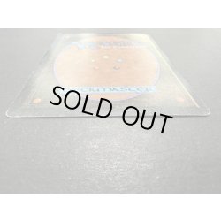 画像7: [PLD]Drop of Honey《英語》【ARN】#150