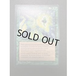 画像2: [EX+]Eureka《イタリア語》【LEG】#99