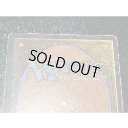 画像4: [HPLD]Tropical Island《英語》【2ED】#118