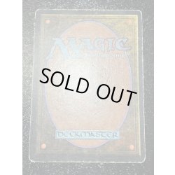 画像3: [HPLD]Tropical Island《英語》【2ED】#118