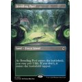 (FOIL)(フルアート)繁殖池/Breeding Pool《英語》【CLU】