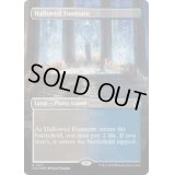 [EX+](FOIL)(フルアート)神聖なる泉/Hallowed Fountain《英語》【CLU】