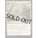 [EX+]興隆する木立/Thriving Grove《英語》【CLU】