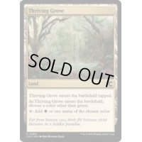 [EX+]興隆する木立/Thriving Grove《英語》【CLU】