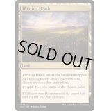 [EX+]興隆する荒野/Thriving Heath《英語》【CLU】