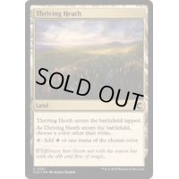[EX+]興隆する荒野/Thriving Heath《英語》【CLU】