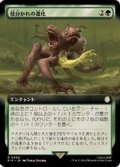 (FOIL)(フルアート)枝分かれの進化/Branching Evolution《日本語》【PIP】