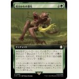 (サージFOIL)(フルアート)枝分かれの進化/Branching Evolution《日本語》【PIP】