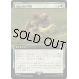 (フルアート)枝分かれの進化/Branching Evolution《日本語》【PIP】