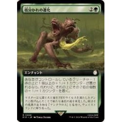 画像1: (FOIL)(フルアート)枝分かれの進化/Branching Evolution《日本語》【PIP】