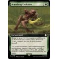 (サージFOIL)(フルアート)枝分かれの進化/Branching Evolution《英語》【PIP】