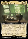 [EX+](サージFOIL)(フルアート)社長兼CEO、Mr.ハウス/Mr. House, President and CEO《日本語》【PIP】