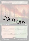 (FOIL)(フルアート)燃えがらの林間地/Cinder Glade《日本語》【PIP】