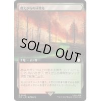 (サージFOIL)(フルアート)燃えがらの林間地/Cinder Glade《日本語》【PIP】