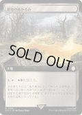 (サージFOIL)(フルアート)僻地のぬかるみ/Desolate Mire《日本語》【PIP】