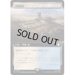 画像1: [EX+](FOIL)(フルアート)灌漑農地/Irrigated Farmland《日本語》【PIP】