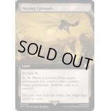 [EX+](フルアート)巣ごもりの地/Nesting Grounds《英語》【PIP】