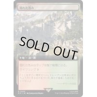 (サージFOIL)(フルアート)隠れた茂み/Sheltered Thicket《日本語》【PIP】