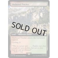 [EX+](FOIL)(フルアート)隠れた茂み/Sheltered Thicket《英語》【PIP】