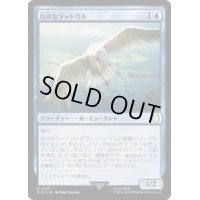 厄介なラッドガル/Vexing Radgull《日本語》【PIP】