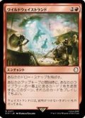 (FOIL)ワイルドウェイストランド/Wild Wasteland《日本語》【PIP】