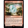 (FOIL)ワイルドウェイストランド/Wild Wasteland《英語》【PIP】