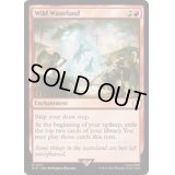 [EX+](FOIL)ワイルドウェイストランド/Wild Wasteland《英語》【PIP】