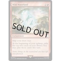 [EX+](FOIL)ワイルドウェイストランド/Wild Wasteland《英語》【PIP】