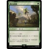 (サージFOIL)豊かな成長/Abundant Growth《日本語》【PIP】