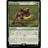 (FOIL)枝分かれの進化/Branching Evolution《日本語》【PIP】