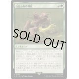 枝分かれの進化/Branching Evolution《日本語》【PIP】