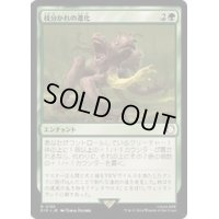 枝分かれの進化/Branching Evolution《日本語》【PIP】