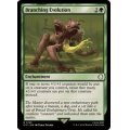 (FOIL)枝分かれの進化/Branching Evolution《英語》【PIP】