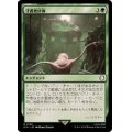 [EX](FOIL)守護者計画/Guardian Project《日本語》【PIP】