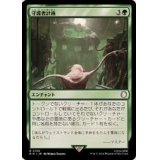 [EX](FOIL)守護者計画/Guardian Project《日本語》【PIP】