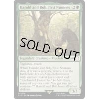 [EX+]最初のニューメン、ハロルドとボブ/Harold and Bob, First Numens《英語》【PIP】