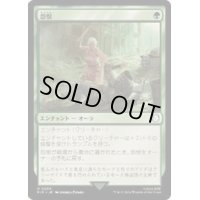 怨恨/Rancor《日本語》【PIP】
