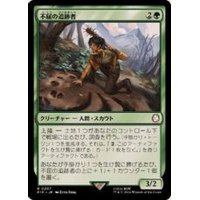 (FOIL)不屈の追跡者/Tireless Tracker《日本語》【PIP】