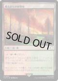 (FOIL)燃えがらの林間地/Cinder Glade《日本語》【PIP】