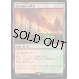 (サージFOIL)燃えがらの林間地/Cinder Glade《日本語》【PIP】