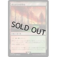 燃えがらの林間地/Cinder Glade《日本語》【PIP】