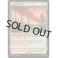 (FOIL)燃えがらの林間地/Cinder Glade《英語》【PIP】