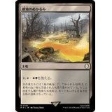 (サージFOIL)僻地のぬかるみ/Desolate Mire《日本語》【PIP】